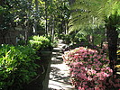 Property Image 909Courtyard in Spring