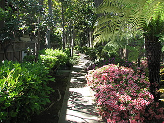 Courtyard in Spring