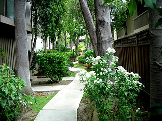 Walk Way